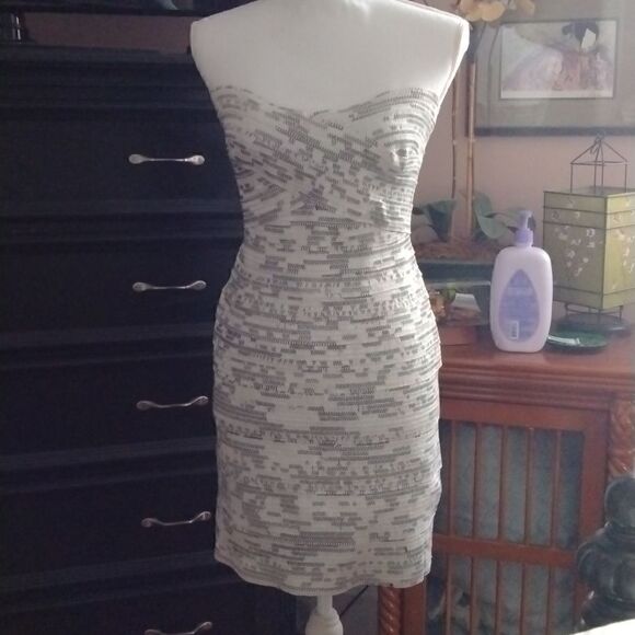 Minuet Dress   - Picture 1 of 7